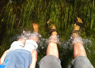 The Joy of Self Employment